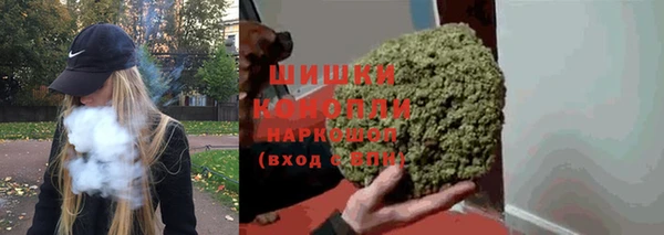 крисы Богородицк