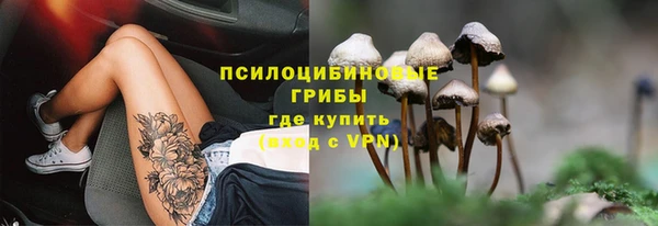 шишки Беломорск