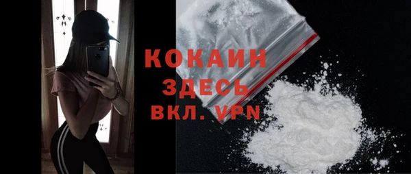 шишки Беломорск