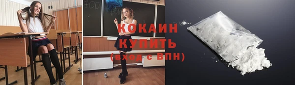 шишки Беломорск