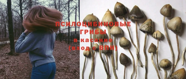 хмурый Богородск