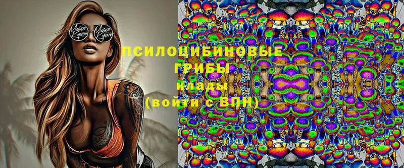 даркнет сайт  Гаврилов-Ям  OMG как войти  Псилоцибиновые грибы Magic Shrooms 