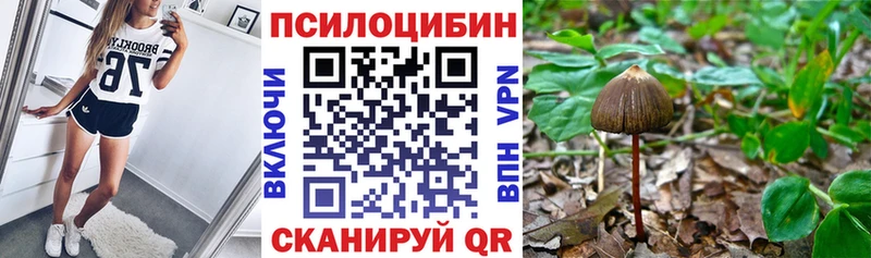 Галлюциногенные грибы прущие грибы Гаврилов-Ям