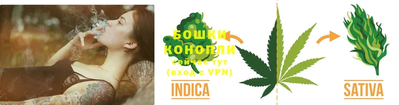 Бошки Шишки SATIVA & INDICA  Гаврилов-Ям 